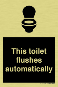 This toilet flushes automatically